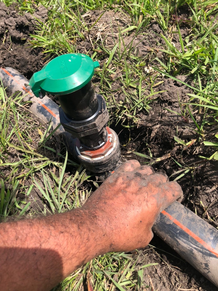 Alejandro salvó el campo familiar con pastoreo racional y terminó enseñando sobre ganadería regenerativa: “A mi viejo le hubiera venido bárbaro el curso”