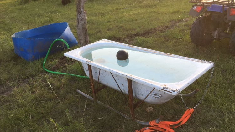 Alejandro salvó el campo familiar con pastoreo racional y terminó enseñando sobre ganadería regenerativa: “A mi viejo le hubiera venido bárbaro el curso”