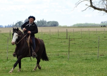 Adrián Brescia revela la clave de los pequeños criadores de caballos criollos: “Sin pasión esto no se puede sostener, porque va al margen del negocio”