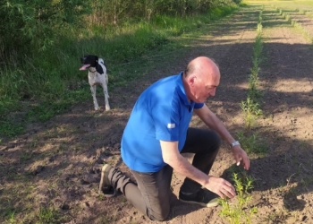 Vicente Dell’Arciprete pone garra y corazón para sostener la Estación Forestal 25 de Mayo del INTA, que tiene un gran banco de especies y distribuye plantines hacia todo el país