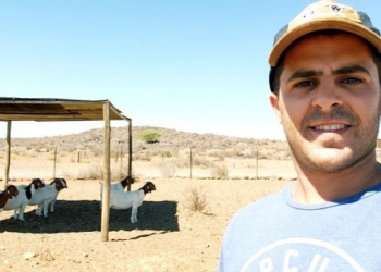 Mejoramiento genético de Sudáfrica a la Argentina: La odisea de Ignacio Vidal para importar embriones de caprinos y ovinos de élite y tener así “el mejor rodeo del país”