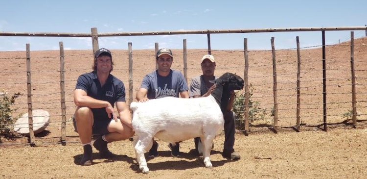 Mejoramiento genético de Sudáfrica a la Argentina: La odisea de Ignacio Vidal para importar embriones de caprinos y ovinos de élite y tener así “el mejor rodeo del país”