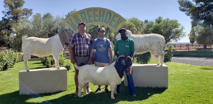 Mejoramiento genético de Sudáfrica a la Argentina: La odisea de Ignacio Vidal para importar embriones de caprinos y ovinos de élite y tener así “el mejor rodeo del país”