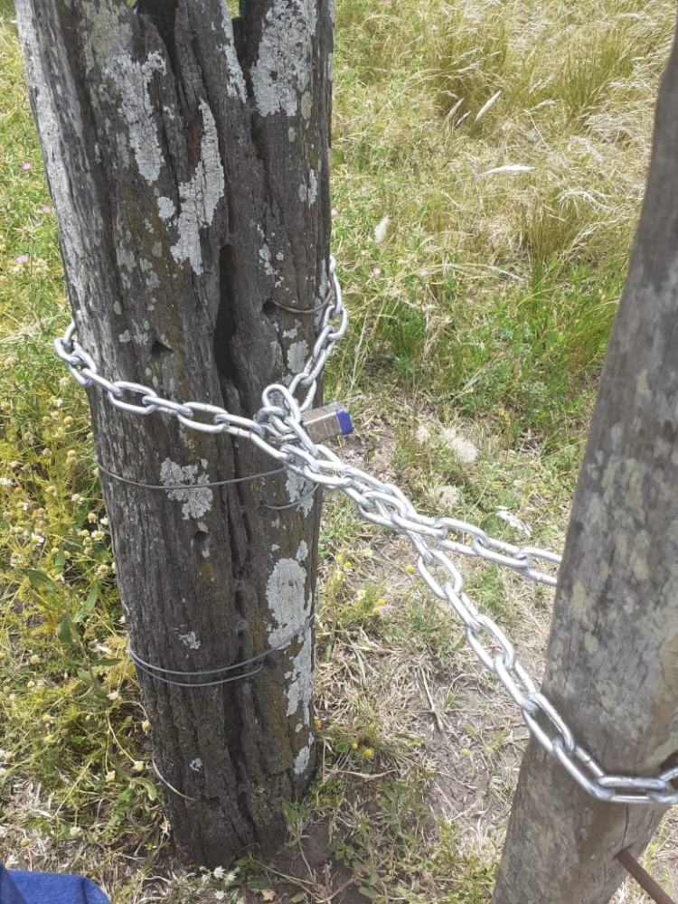 La usurpación de un campo en Gualeguaychú vuelve a movilizar a grupos de productores entrerrianos