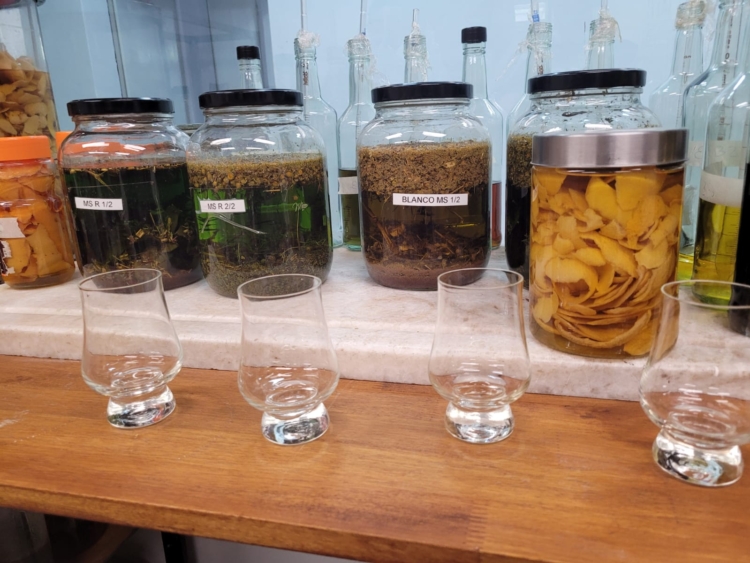 Como un brujo de las pociones, Nicolás Cestari se animó a abrir una pequeña destilería y revivió la vieja receta de fernet de su abuelo