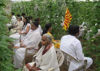 Existe una “agricultura yóguica” y sus impulsores la explican de manera simple: “Los buenos pensamientos generan buenos cultivos”