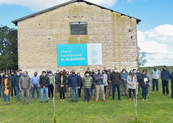 El Ministerio de Desarrollo Agrario de Buenos Aires aprobó 14 nuevas becas para fortalecer el sistema de chacras experimentales de la provincia