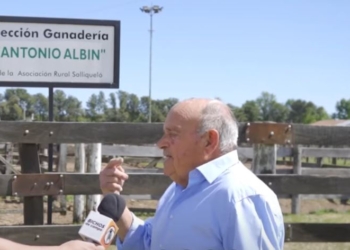 Antonio Albin, un pequeño gigante de la ganadería, rezonga: “Un porcentaje muy elevado de los dólares entran del campo, pero resulta que somos los malos de la película”