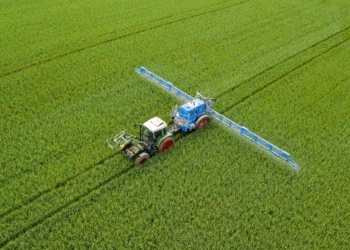 Malas noticias: En China cree que los precios del glifosato podrían seguir subiendo en 2022