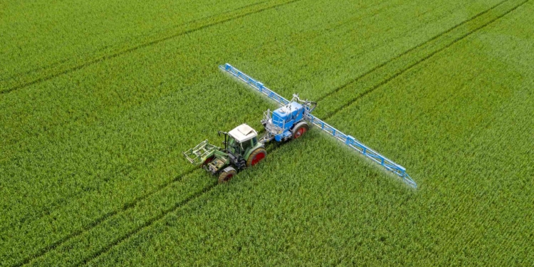 Malas noticias: En China cree que los precios del glifosato podrían seguir subiendo en 2022