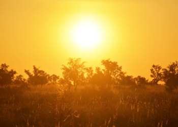 Prendé el aire: En la Argentina, 2021 se presenta como el séptimo año más caliente y el octavo más seco en 60 años