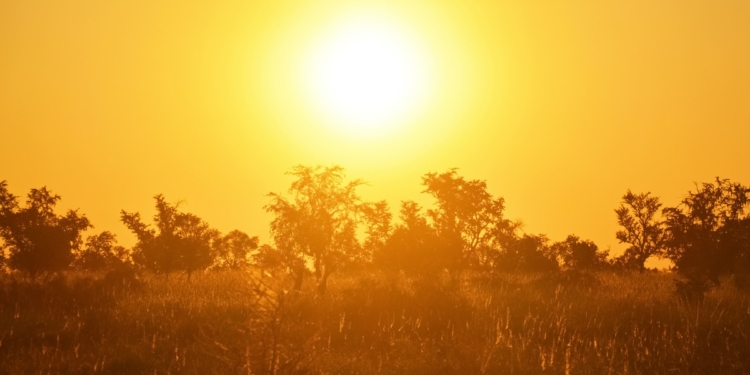 Prendé el aire: En la Argentina, 2021 se presenta como el séptimo año más caliente y el octavo más seco en 60 años