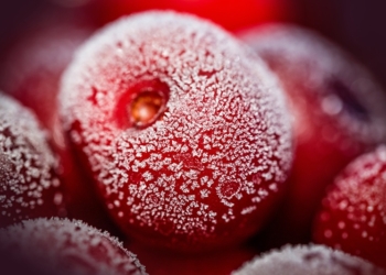 Una actividad congelada: La producción local de cerezas permanece estancada, mientras en Chile vuela por la fuerte demanda desde China