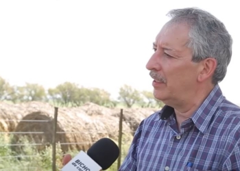 Daniel Miralles, uno de los principales investigadores sobre trigo, se lamenta de las malas intervenciones de los gobiernos: “No nos damos cuenta de cómo arruinamos los campos”