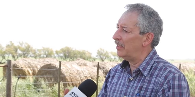 Daniel Miralles, uno de los principales investigadores sobre trigo, se lamenta de las malas intervenciones de los gobiernos: “No nos damos cuenta de cómo arruinamos los campos”