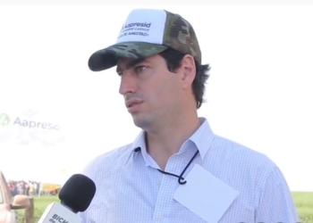 A Ernesto Jáuregui lo gastan porque produce “maíz autista”, pero bajar la densidad de siembra fue la clave para consolidar ese cultivo en el oeste bonaerense