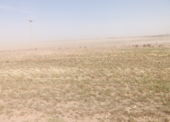 El INTA lanza un alerta para “la colita” bonaerense: Por la falta de lluvias hay peligro de incendios y de una alta erosión