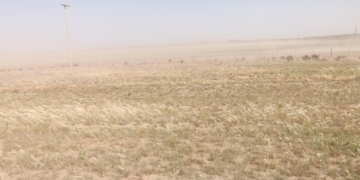 El INTA lanza un alerta para “la colita” bonaerense: Por la falta de lluvias hay peligro de incendios y de una alta erosión