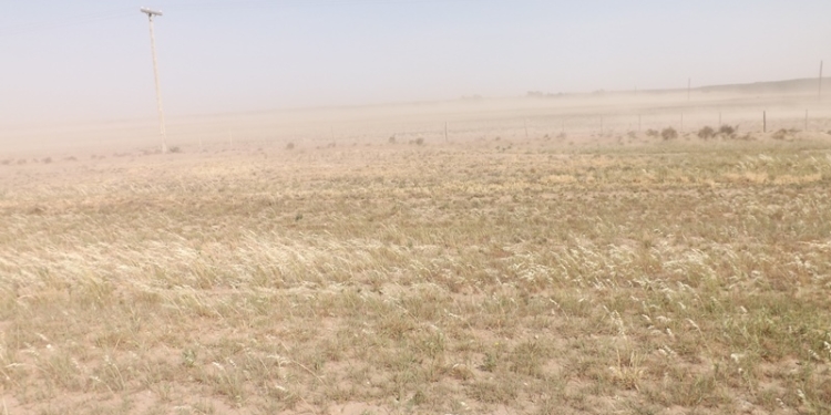 El INTA lanza un alerta para “la colita” bonaerense: Por la falta de lluvias hay peligro de incendios y de una alta erosión