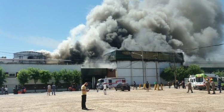Volver a empezar: Tras el incendio, Franco Santángelo confía que en pocas semanas podrán volver a operar el frigorífico Soychú