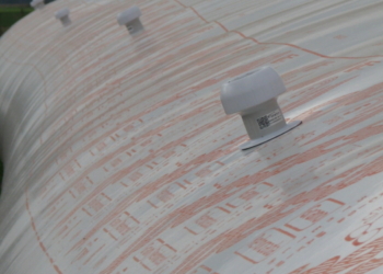 El gobierno argentino aclara que el trigo HB4 todavía no está liberado y anticipa un riguroso sistema para su segregación