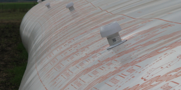 El gobierno argentino aclara que el trigo HB4 todavía no está liberado y anticipa un riguroso sistema para su segregación