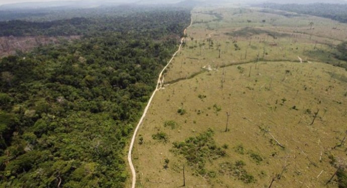 Y llegó el día: La Argentina deberá comenzar a certificar los alimentos que exporta a Europa como “libres de deforestación”