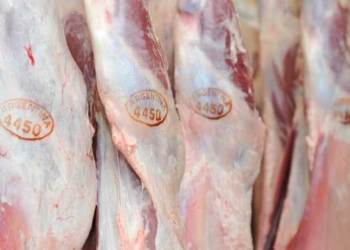 Otro pedido de acceso a la información pública: Bichos de Campo reclamó la lista de las DJEC aprobadas para cada frigorífico