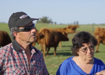 La increíble historia de Miki y Maruca: Matrimonio desde hace 40 años y compañeros de trabajo en la manga, mantienen sus rodeos separados para competir en los concursos