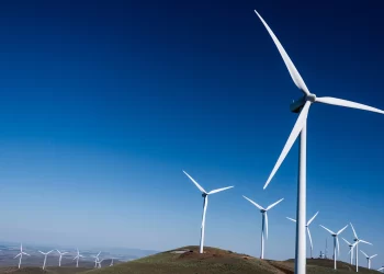 ¿Qué es el hidrógeno verde y quiénes son los australianos que analizan producirlo en la Argentina?