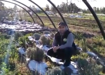 Para reclamar políticas diferenciales, la Federación Agraria comenzó a mostrar historias de pequeños productores de carne y hueso