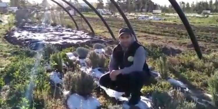 Para reclamar políticas diferenciales, la Federación Agraria comenzó a mostrar historias de pequeños productores de carne y hueso