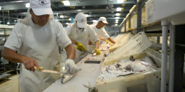 Un premio al valor agregado: Reducen algunos puntos de retenciones a los productos pesqueros procesados