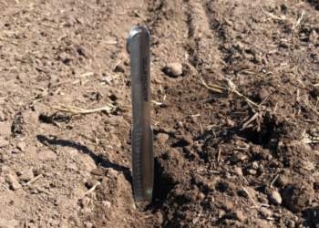 La política agropecuaria argentina es la receta ideal para potenciar los efectos nocivos del cambio climático