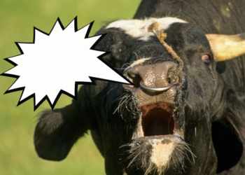 Locura: Argentina, que atraviesa una crisis cambiaria inédita, perdió una cifra descomunal de divisas por aplicar un “cepo” exportador a la carne vacuna