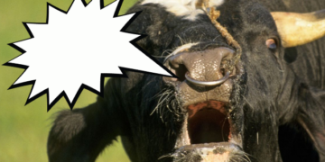 Locura: Argentina, que atraviesa una crisis cambiaria inédita, perdió una cifra descomunal de divisas por aplicar un “cepo” exportador a la carne vacuna