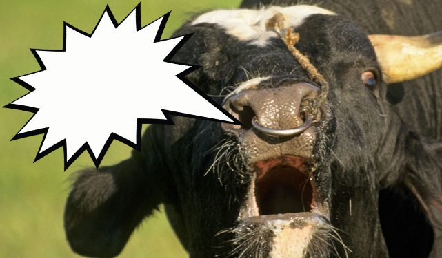 Locura: Argentina, que atraviesa una crisis cambiaria inédita, perdió una cifra descomunal de divisas por aplicar un “cepo” exportador a la carne vacuna