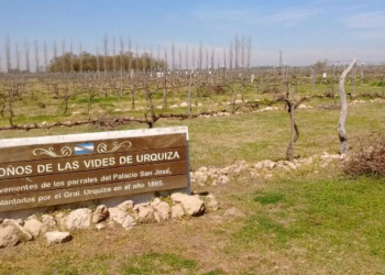 Merece un brindis: Después de 90 años, la experimental del INTA Concordia vuelve a investigar sobre vitivinicultura