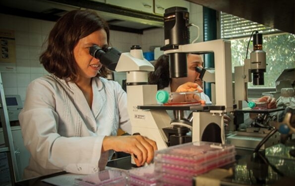 El INTA logró aislar un virus que provoca una peligrosa enfermedad neurológica de los caballos