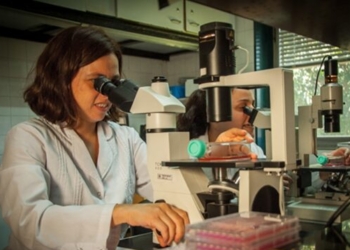 El INTA logró aislar un virus que provoca una peligrosa enfermedad neurológica de los caballos