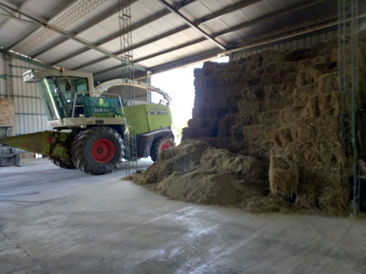 “Un bombón para la hacienda”: Luego de pasarse una vida sobre la picadora, Jorge Diez apostó todo a su propia fábrica de pellets de alfalfa en Beltrán