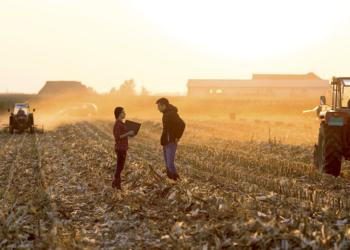 Un estudio que debería poner en alerta al agro: ¿Qué le exigen las nuevas generaciones a los productores de alimentos?