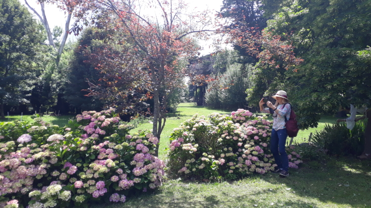 La reina de la lavanda: En Sierra de la Ventana, Léony Staudt la produce de modo orgánico, llegó a exportarla y hoy comparte las más bellas postales con los visitantes
