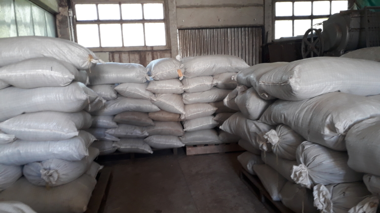 La reina de la lavanda: En Sierra de la Ventana, Léony Staudt la produce de modo orgánico, llegó a exportarla y hoy comparte las más bellas postales con los visitantes