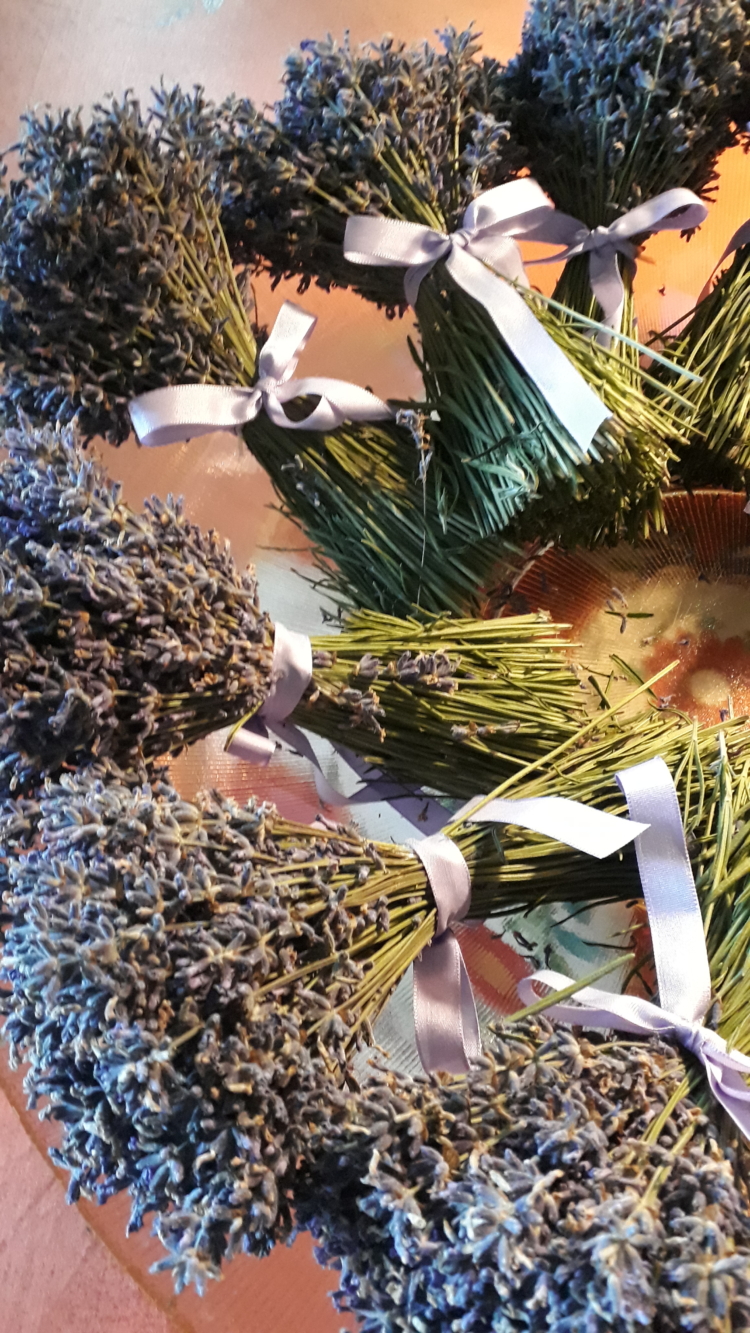 La reina de la lavanda: En Sierra de la Ventana, Léony Staudt la produce de modo orgánico, llegó a exportarla y hoy comparte las más bellas postales con los visitantes