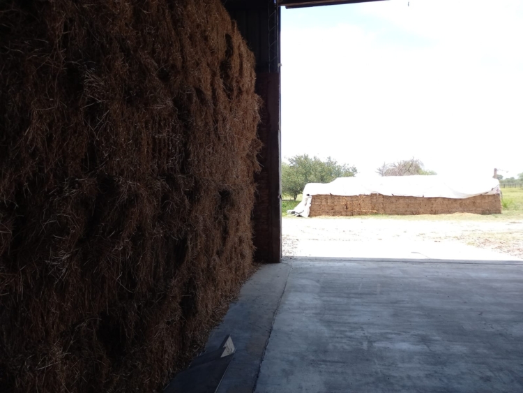 “Un bombón para la hacienda”: Luego de pasarse una vida sobre la picadora, Jorge Diez apostó todo a su propia fábrica de pellets de alfalfa en Beltrán