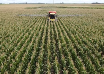 Terminado el partido entre #BastaDeVenenos y #BastadeMiedos, el resultado es una derrota por goleada para la información