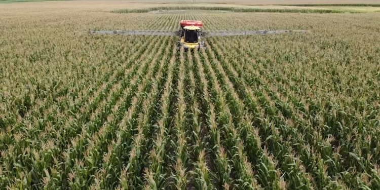 Terminado el partido entre #BastaDeVenenos y #BastadeMiedos, el resultado es una derrota por goleada para la información