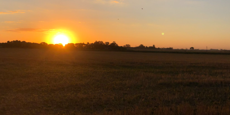 Factores alcistas están impulsando los precios de la soja hacia la “estratósfera”