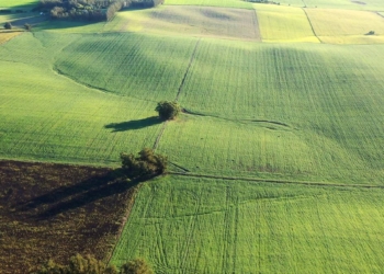 Termina el año con un nivel de operaciones aceptable en el mercado inmobiliario rural argentino ¿Cuán conveniente es comprar campos en la actual coyuntura?